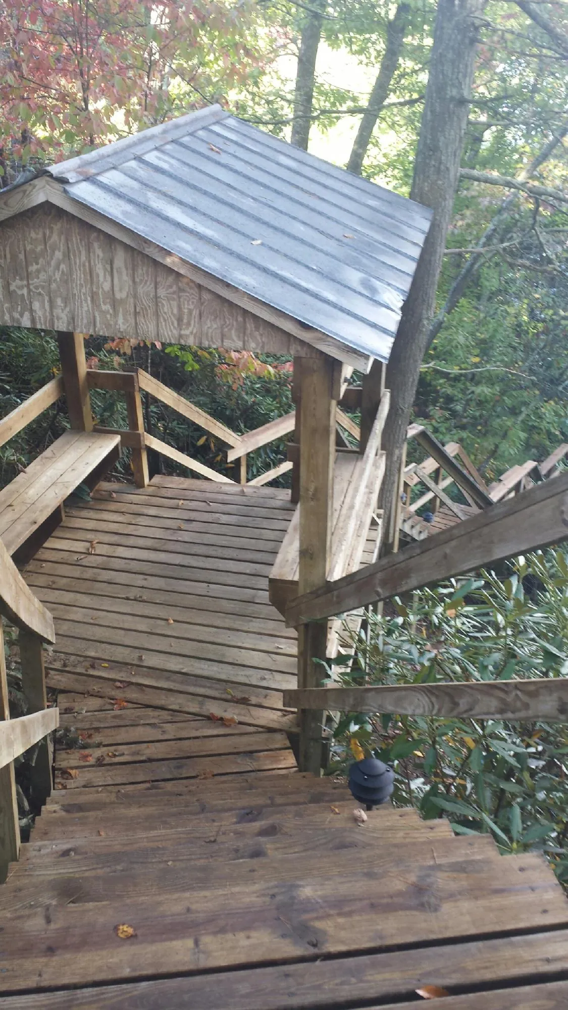 Metal roofed shelter over wooden steps on a wooded walkway — Skylight Repair & Installation work by our crew in Hoquiam